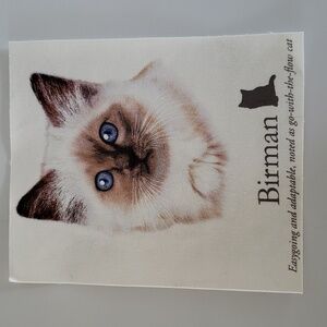 Birman Cat Iron On White Cat Fluffy Cat